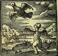An illustration from Emblemata v. cl. Andreae Alciati : cū imaginibus plerisque restitutis ad mentem auctoris (1618)