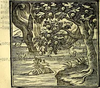 Picture 126 of 298 from Emblemata v. cl. Andreae Alciati : cū imaginibus plerisque restitutis ad mentem auctoris (1618), leaf 203