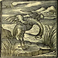 Picture 130 of 298 from Emblemata v. cl. Andreae Alciati : cū imaginibus plerisque restitutis ad mentem auctoris (1618), leaf 207