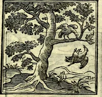 An illustration from Emblemata v. cl. Andreae Alciati : cū imaginibus plerisque restitutis ad mentem auctoris (1618)