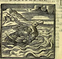 Picture 142 of 298 from Emblemata v. cl. Andreae Alciati : cū imaginibus plerisque restitutis ad mentem auctoris (1618), leaf 221