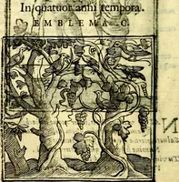 Picture 148 of 298 from Emblemata v. cl. Andreae Alciati : cū imaginibus plerisque restitutis ad mentem auctoris (1618), leaf 229