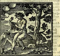An illustration from Emblemata v. cl. Andreae Alciati : cū imaginibus plerisque restitutis ad mentem auctoris (1618)