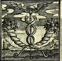 Picture 176 of 298 from Emblemata v. cl. Andreae Alciati : cū imaginibus plerisque restitutis ad mentem auctoris (1618), leaf 264