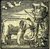 Picture 182 of 298 from Emblemata v. cl. Andreae Alciati : cū imaginibus plerisque restitutis ad mentem auctoris (1618), leaf 271