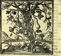 Picture 183 of 298 from Emblemata v. cl. Andreae Alciati : cū imaginibus plerisque restitutis ad mentem auctoris (1618), leaf 273