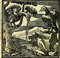 Picture 188 of 298 from Emblemata v. cl. Andreae Alciati : cū imaginibus plerisque restitutis ad mentem auctoris (1618), leaf 279
