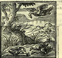 An illustration from Emblemata v. cl. Andreae Alciati : cū imaginibus plerisque restitutis ad mentem auctoris (1618)