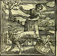 Picture 207 of 298 from Emblemata v. cl. Andreae Alciati : cū imaginibus plerisque restitutis ad mentem auctoris (1618), leaf 303