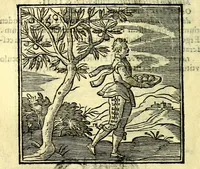 Picture 211 of 298 from Emblemata v. cl. Andreae Alciati : cū imaginibus plerisque restitutis ad mentem auctoris (1618), leaf 307