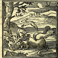 Picture 227 of 298 from Emblemata v. cl. Andreae Alciati : cū imaginibus plerisque restitutis ad mentem auctoris (1618), leaf 325