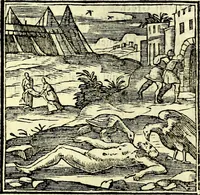 An illustration from Emblemata v. cl. Andreae Alciati : cū imaginibus plerisque restitutis ad mentem auctoris (1618)