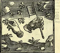 Picture 241 of 298 from Emblemata v. cl. Andreae Alciati : cū imaginibus plerisque restitutis ad mentem auctoris (1618), leaf 342