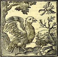 An illustration from Emblemata v. cl. Andreae Alciati : cū imaginibus plerisque restitutis ad mentem auctoris (1618)