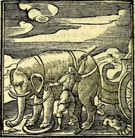 Picture 258 of 298 from Emblemata v. cl. Andreae Alciati : cū imaginibus plerisque restitutis ad mentem auctoris (1618), leaf 365