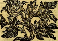 Picture 270 of 298 from Emblemata v. cl. Andreae Alciati : cū imaginibus plerisque restitutis ad mentem auctoris (1618), leaf 387