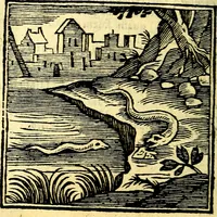 Picture 277 of 298 from Emblemata v. cl. Andreae Alciati : cū imaginibus plerisque restitutis ad mentem auctoris (1618), leaf 397