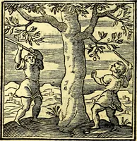 An illustration from Emblemata v. cl. Andreae Alciati : cū imaginibus plerisque restitutis ad mentem auctoris (1618)