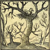 Picture 279 of 298 from Emblemata v. cl. Andreae Alciati : cū imaginibus plerisque restitutis ad mentem auctoris (1618), leaf 400