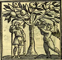 Picture 289 of 298 from Emblemata v. cl. Andreae Alciati : cū imaginibus plerisque restitutis ad mentem auctoris (1618), leaf 415