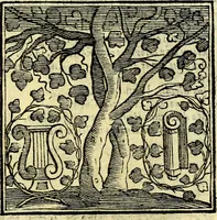 Picture 290 of 298 from Emblemata v. cl. Andreae Alciati : cū imaginibus plerisque restitutis ad mentem auctoris (1618), leaf 416