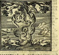 An illustration from Emblemata v. cl. Andreae Alciati : cū imaginibus plerisque restitutis ad mentem auctoris (1618)