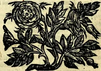 Picture 9 of 298 from Emblemata v. cl. Andreae Alciati : cū imaginibus plerisque restitutis ad mentem auctoris (1618), leaf 62