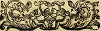 Picture 36 of 298 from Emblemata v. cl. Andreae Alciati : cū imaginibus plerisque restitutis ad mentem auctoris (1618), leaf 96