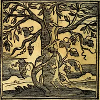 An illustration from Emblemata v. cl. Andreae Alciati : cū imaginibus plerisque restitutis ad mentem auctoris (1618)