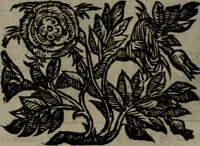 An illustration from Emblemata v. cl. Andreae Alciati : cu imaginibus plerisque restitutis ad mentem auctoris (1618)
