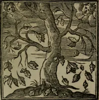 An illustration from Emblemata v. cl. Andreae Alciati : cu imaginibus plerisque restitutis ad mentem auctoris (1618)