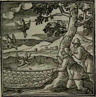 An illustration from Emblemata v. cl. Andreae Alciati : cu imaginibus plerisque restitutis ad mentem auctoris (1618)