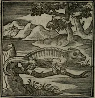 Picture 80 of 256 from Emblemata v. cl. Andreae Alciati : cu imaginibus plerisque restitutis ad mentem auctoris (1618), leaf 155