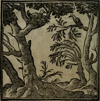 Picture 87 of 256 from Emblemata v. cl. Andreae Alciati : cu imaginibus plerisque restitutis ad mentem auctoris (1618), leaf 165
