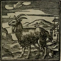 An illustration from Emblemata v. cl. Andreae Alciati : cu imaginibus plerisque restitutis ad mentem auctoris (1618)