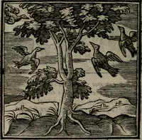 Picture 101 of 256 from Emblemata v. cl. Andreae Alciati : cu imaginibus plerisque restitutis ad mentem auctoris (1618), leaf 185