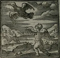 An illustration from Emblemata v. cl. Andreae Alciati : cu imaginibus plerisque restitutis ad mentem auctoris (1618)