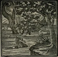 Picture 116 of 256 from Emblemata v. cl. Andreae Alciati : cu imaginibus plerisque restitutis ad mentem auctoris (1618), leaf 203