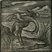 An illustration from Emblemata v. cl. Andreae Alciati : cu imaginibus plerisque restitutis ad mentem auctoris (1618)