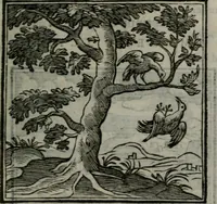 An illustration from Emblemata v. cl. Andreae Alciati : cu imaginibus plerisque restitutis ad mentem auctoris (1618)