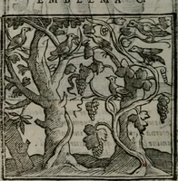 An illustration from Emblemata v. cl. Andreae Alciati : cu imaginibus plerisque restitutis ad mentem auctoris (1618)