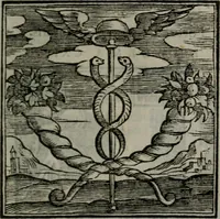 Picture 149 of 256 from Emblemata v. cl. Andreae Alciati : cu imaginibus plerisque restitutis ad mentem auctoris (1618), leaf 248