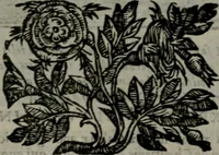 An illustration from Emblemata v. cl. Andreae Alciati : cu imaginibus plerisque restitutis ad mentem auctoris (1618)