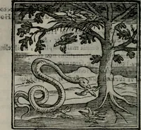 An illustration from Emblemata v. cl. Andreae Alciati : cu imaginibus plerisque restitutis ad mentem auctoris (1618)