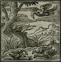 An illustration from Emblemata v. cl. Andreae Alciati : cu imaginibus plerisque restitutis ad mentem auctoris (1618)