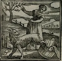 Picture 175 of 256 from Emblemata v. cl. Andreae Alciati : cu imaginibus plerisque restitutis ad mentem auctoris (1618), leaf 287