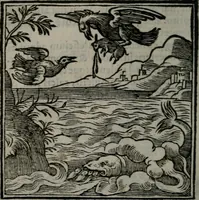 An illustration from Emblemata v. cl. Andreae Alciati : cu imaginibus plerisque restitutis ad mentem auctoris (1618)