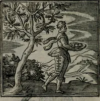 An illustration from Emblemata v. cl. Andreae Alciati : cu imaginibus plerisque restitutis ad mentem auctoris (1618)