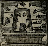 Picture 185 of 256 from Emblemata v. cl. Andreae Alciati : cu imaginibus plerisque restitutis ad mentem auctoris (1618), leaf 301