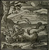 An illustration from Emblemata v. cl. Andreae Alciati : cu imaginibus plerisque restitutis ad mentem auctoris (1618)